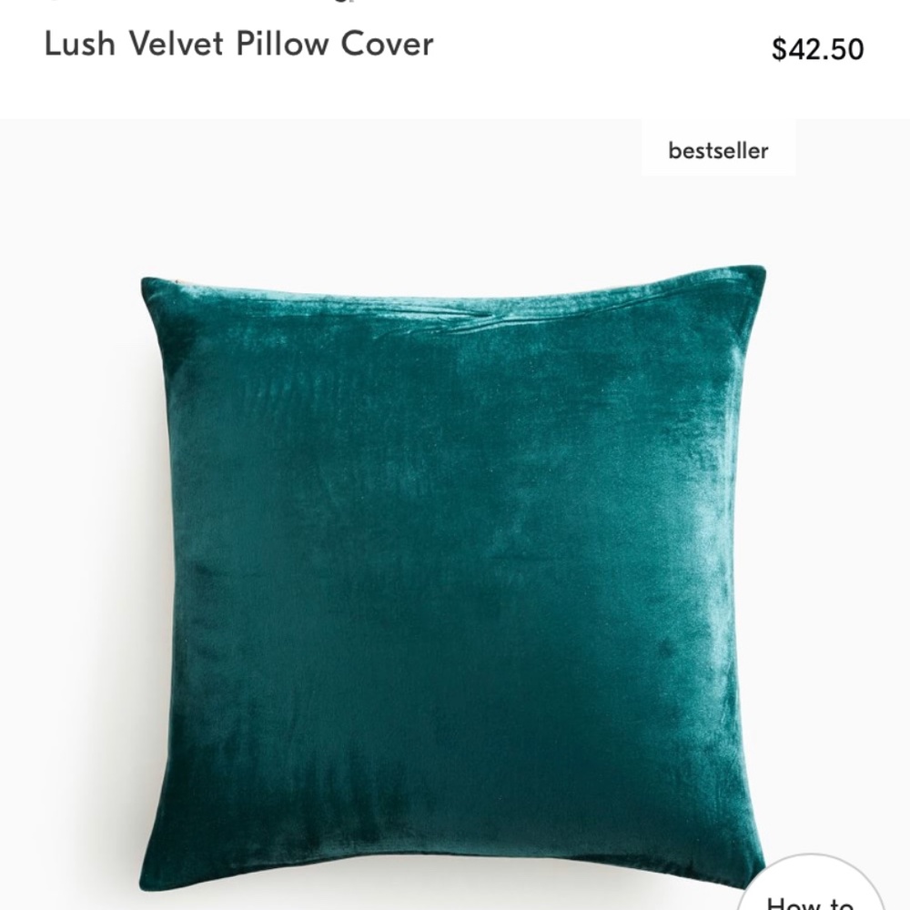 Pair of West Elm Lush Velvet Pillow Covers in Botanical Garden